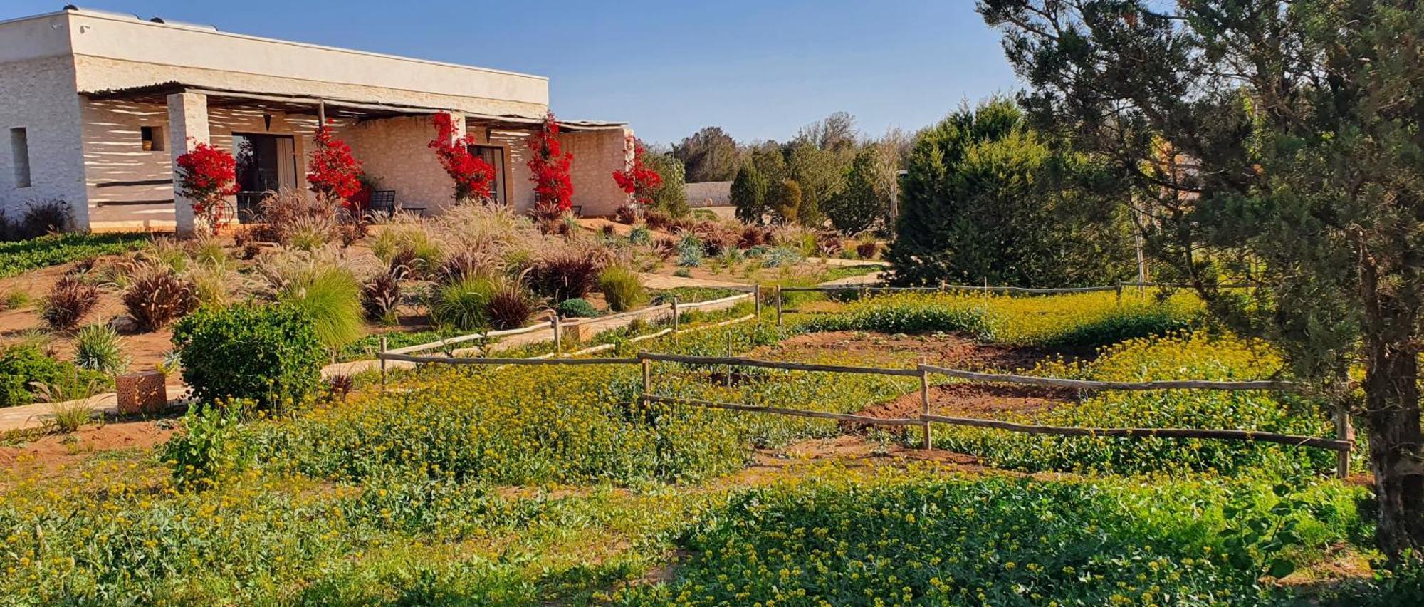 Le Clos De La Roussiere Essaouira Eksteriør billede