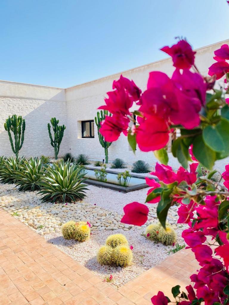 Le Clos De La Roussiere Essaouira Eksteriør billede