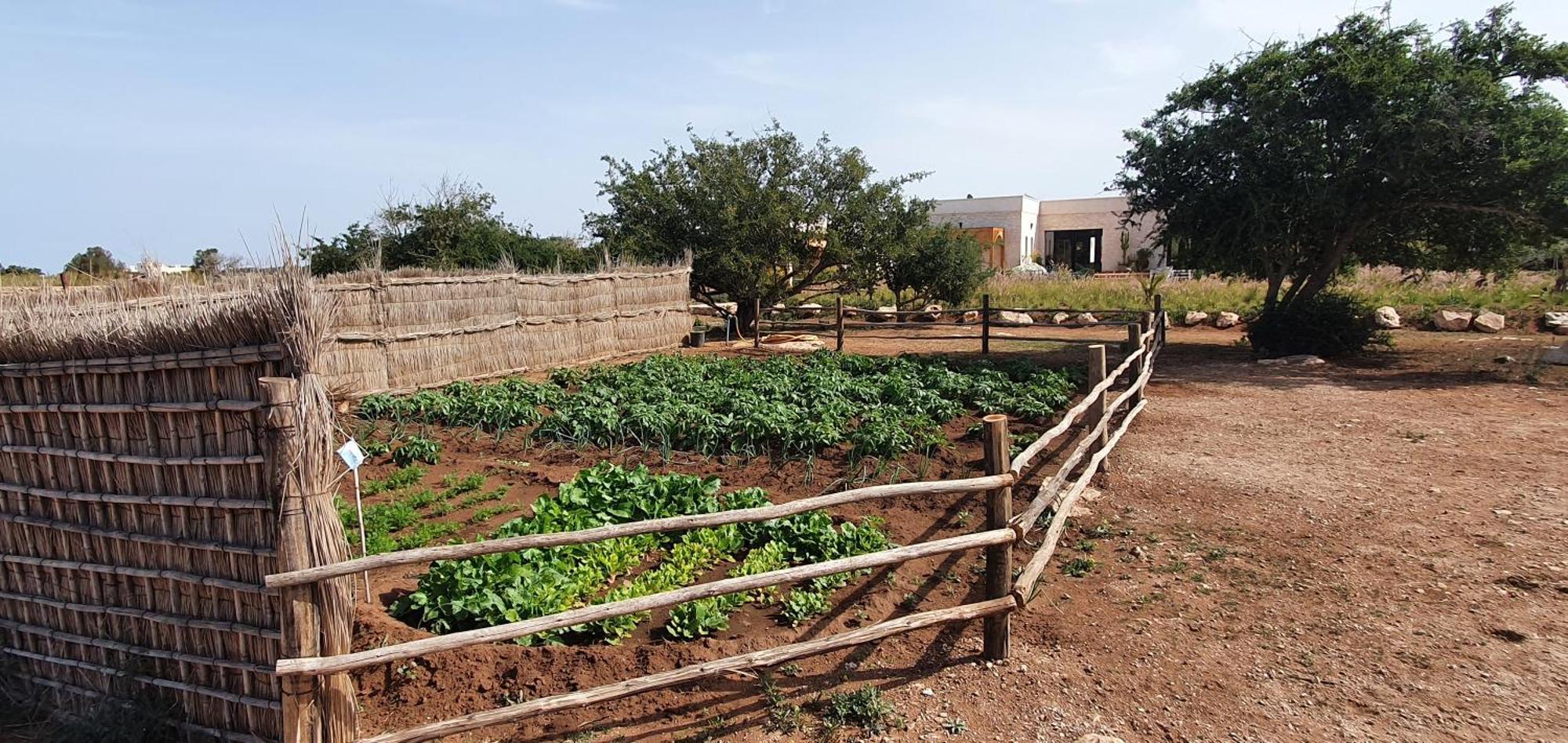 Le Clos De La Roussiere Essaouira Eksteriør billede