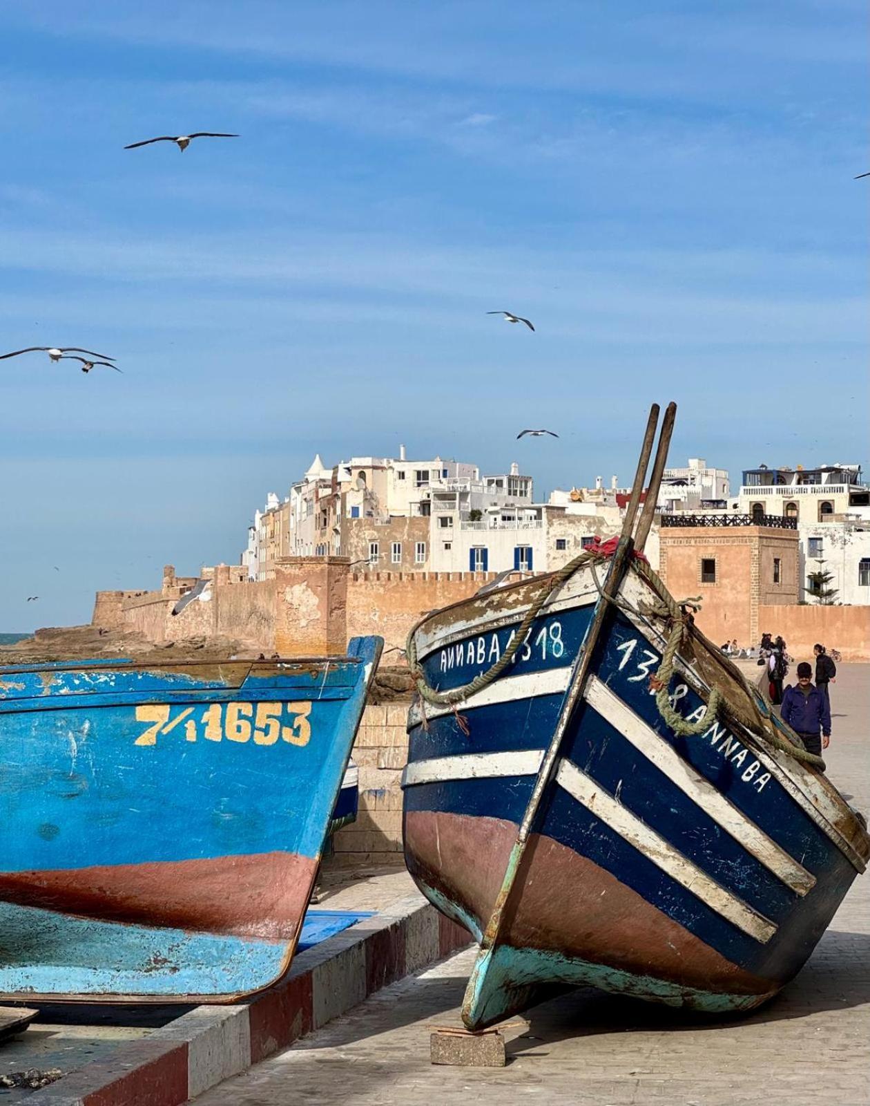 Le Clos De La Roussiere Essaouira Eksteriør billede