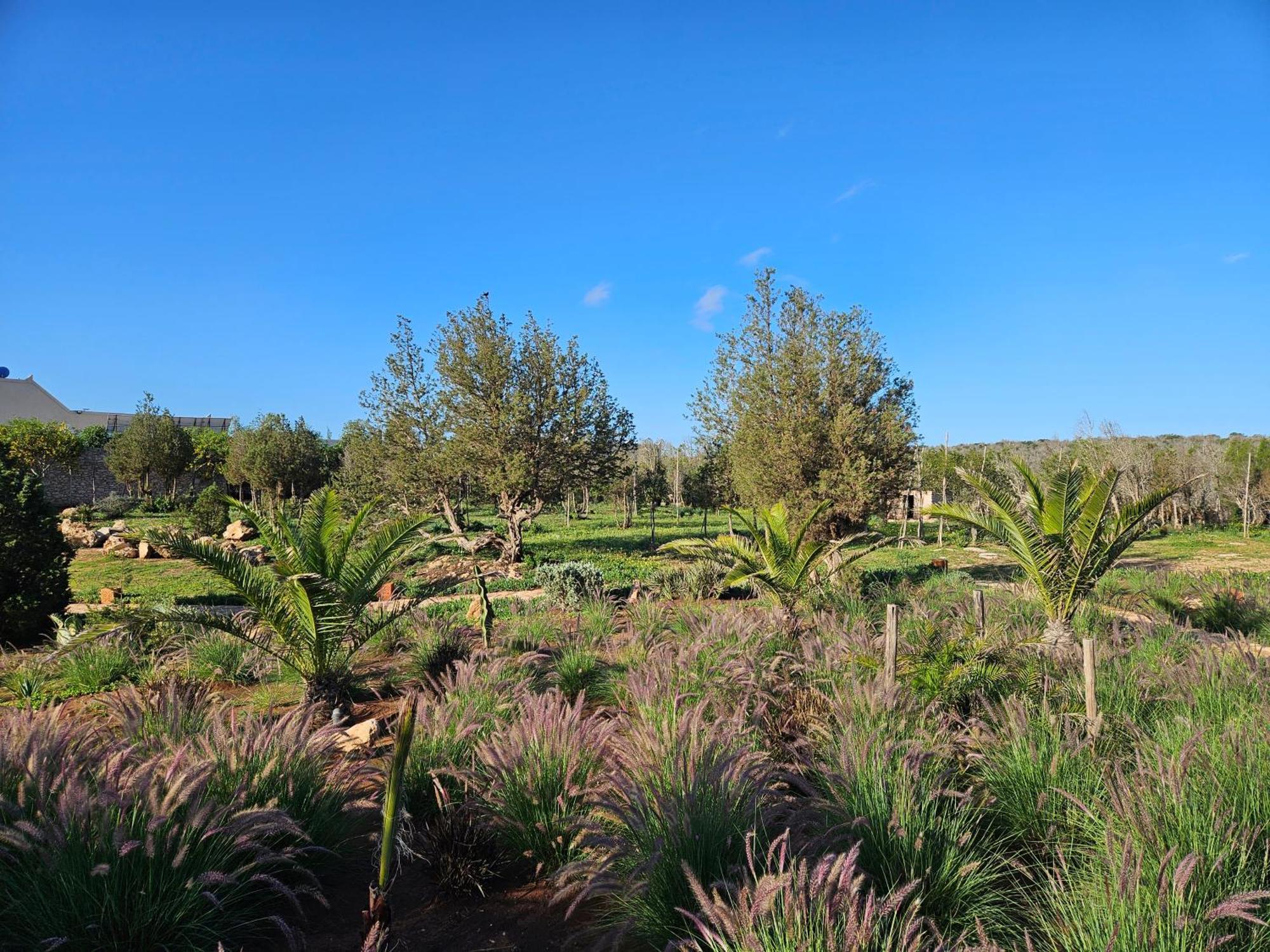 Le Clos De La Roussiere Essaouira Eksteriør billede